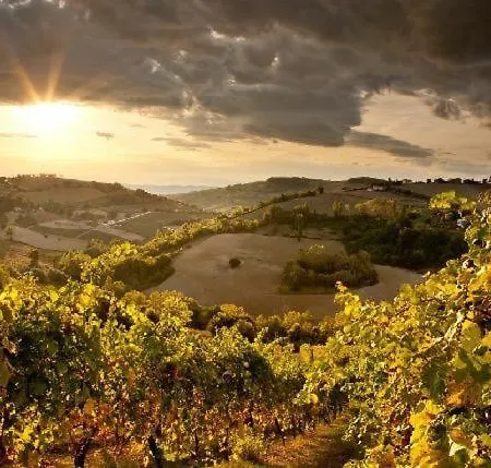 Sleeps 12 With Pool And Air Con Villa Montecarotto