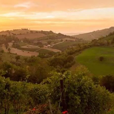 Sleeps 12 With Pool And Air Con * Montecarotto