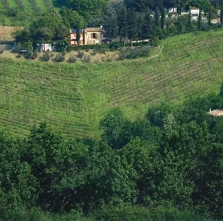 Villa Sleeps 12 With Pool And Air Con Montecarotto